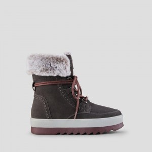 Botte Hiver Cougar Vanetta Daim Imperméables Femme Pewter | 876190-MKV